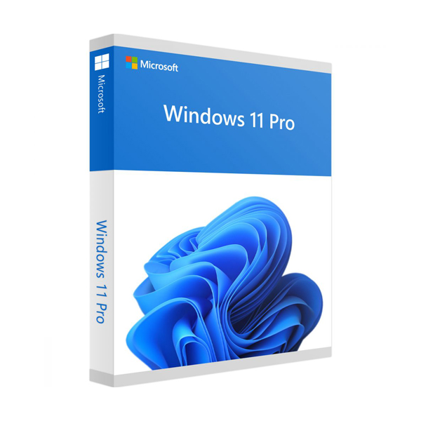 Microsoft Windows 11 Professional 64 BIT